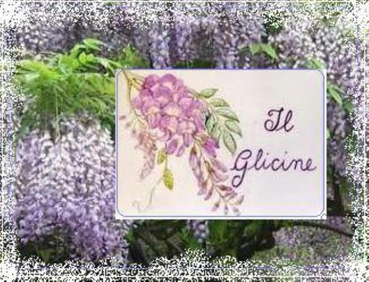 דירות Il Glicine Di לוקה מראה חיצוני תמונה